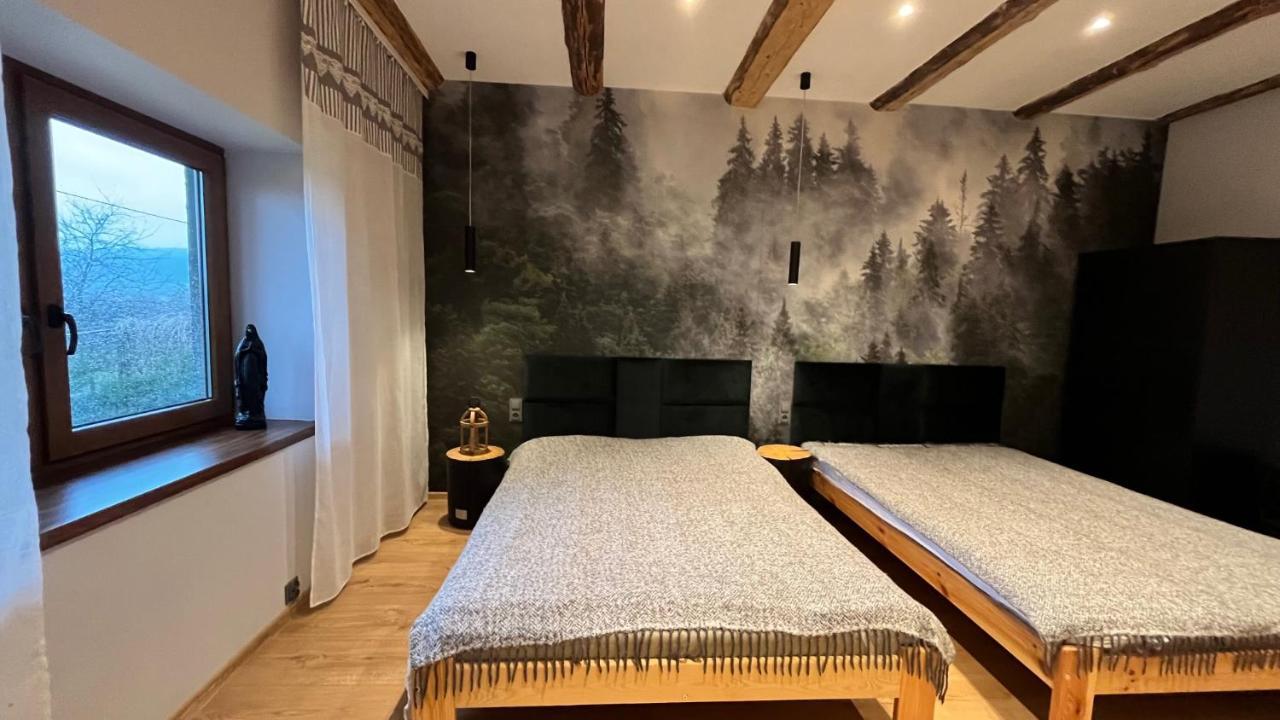 Dom Grabowa Z Sauna I Podgrzewanym Basenem Gilowice  Екстер'єр фото