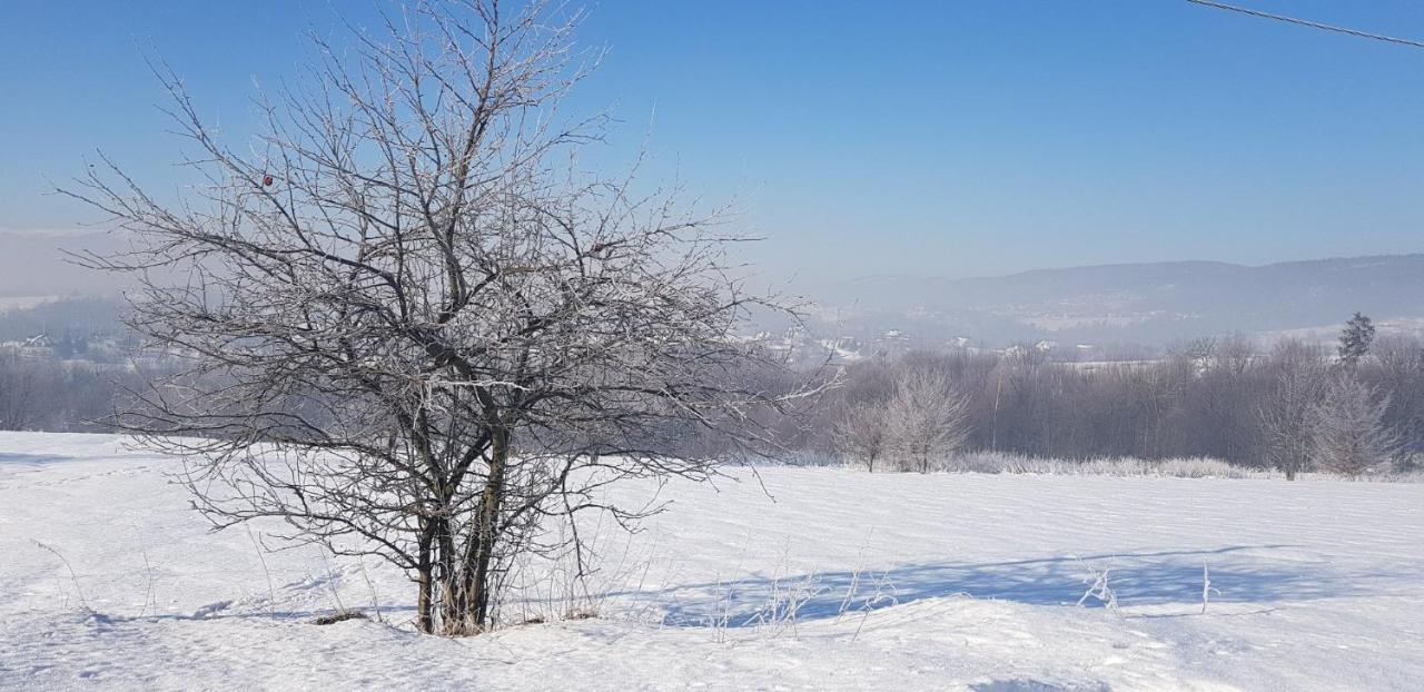 Вілла Dom Grabowa Z Sauna I Podgrzewanym Basenem Gilowice  Екстер'єр фото