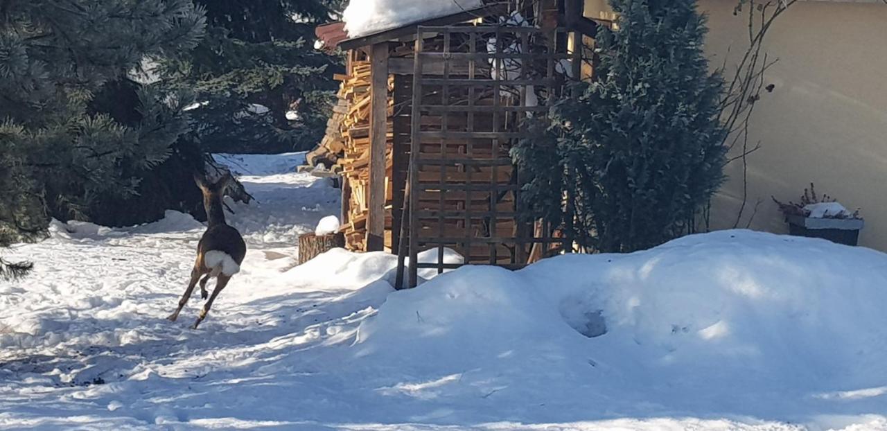 Вілла Dom Grabowa Z Sauna I Podgrzewanym Basenem Gilowice  Екстер'єр фото