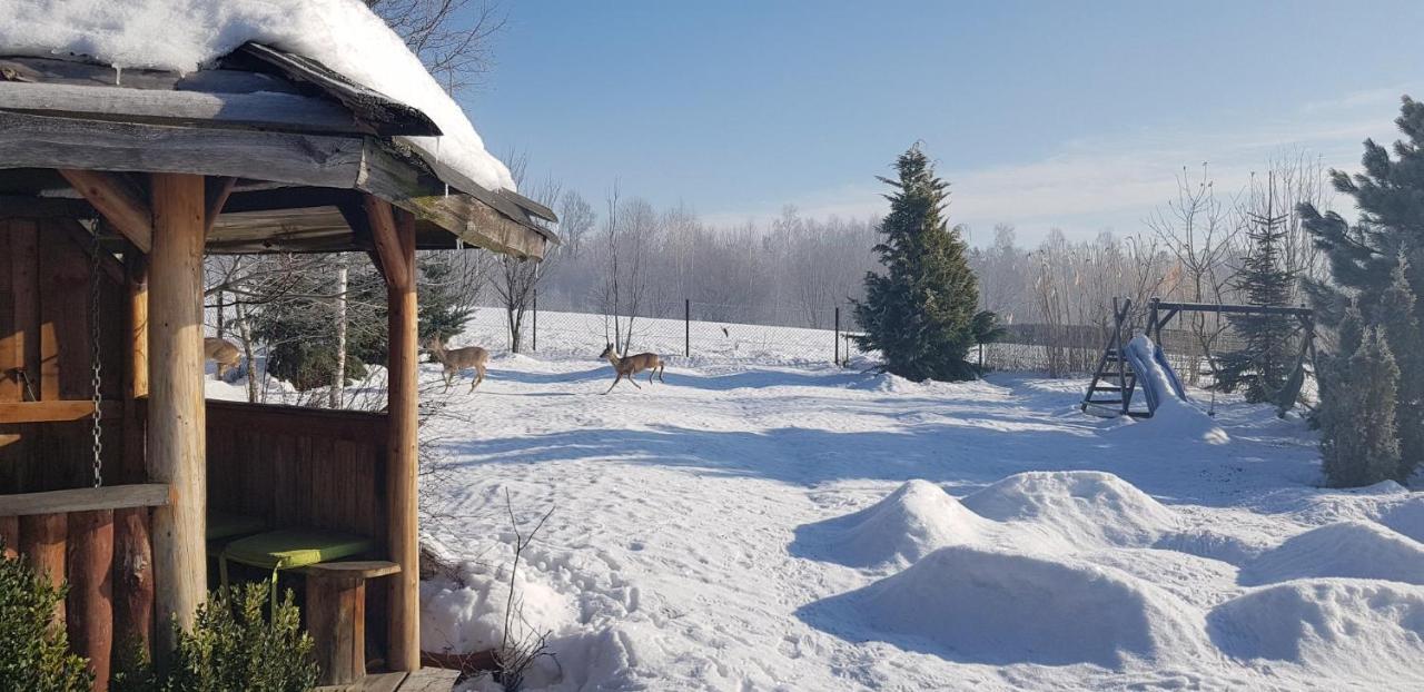 Dom Grabowa Z Sauna I Podgrzewanym Basenem Gilowice  Екстер'єр фото
